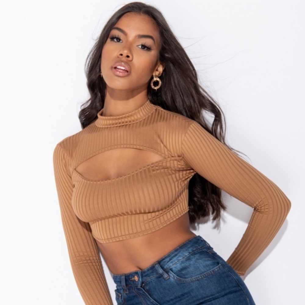 SOLD OUT 🐪 🥂Camel Rib Knit Long Sleeve Crop